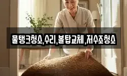 충청남도 홍성군 구항면 청소,입주청소,사무실청소,에어컨청소