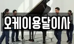 오케이용달이사