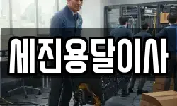세진용달이사