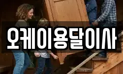 오케이용달이사