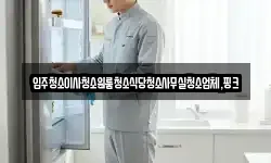 입주청소이사청소원룸청소식당청소사무실청소업체,핑크