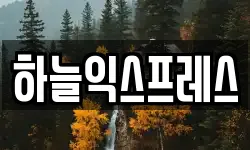 하늘익스프레스