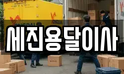 세진용달이사