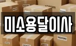 미소용달이사
