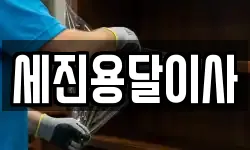 세진용달이사