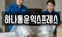 하나통운익스프레스
