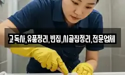 고독사,유품정리,빈집,시골집정리,전문업체