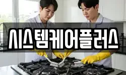 시스템케어플러스