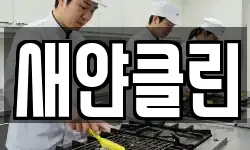 새얀클린
