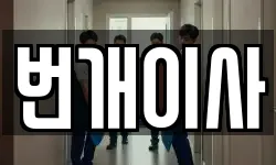 번개이사