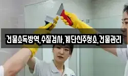 건물소독방역,수질검사,계단신주청소,건물관리