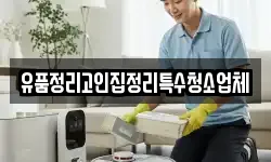 충청북도 옥천군 청성면 청소,입주청소,사무실청소,에어컨청소