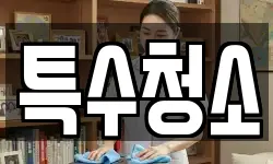 특수청소