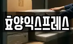 효양익스프레스