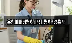 음성에어컨청소세탁기청소우렁총각