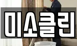미소클린