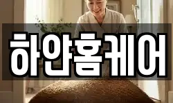 하얀홈케어
