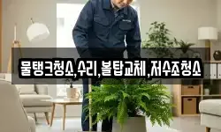 충청북도 제천시 고명동 청소,입주청소,사무실청소,에어컨청소
