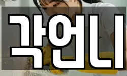 각언니