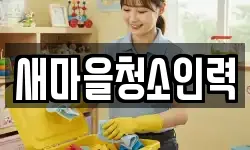 새마을청소인력