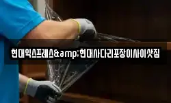 현대익스프레스&현대사다리포장이사이삿짐