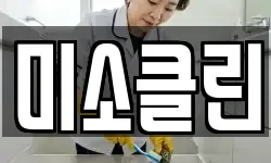 미소클린