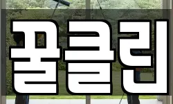 꿀클린