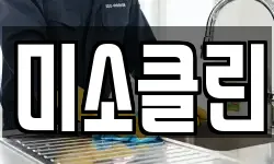 미소클린