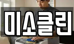 미소클린