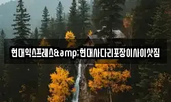 현대익스프레스&현대사다리포장이사이삿짐