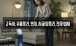 충청북도 제천시 모산동 청소,입주청소,사무실청소,에어컨청소