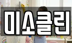 미소클린