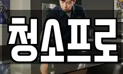 청소프로