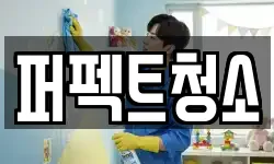 퍼펙트청소