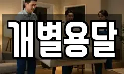 개별용달