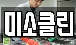 미소클린