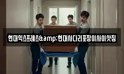 현대익스프레스&현대사다리포장이사이삿짐