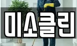 미소클린