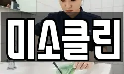 미소클린