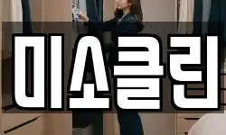 미소클린