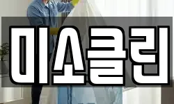 미소클린