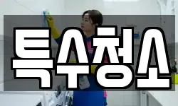 특수청소
