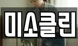 미소클린