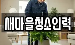 새마을청소인력