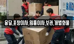 용달,포장이사,원룸이사,보관,개별화물