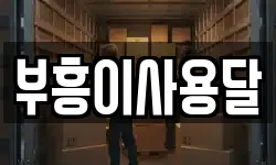 부흥이사용달