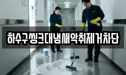 충청북도 청주시 상당구 남문로1가 청소,입주청소,사무실청소,에어컨청소