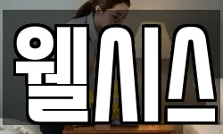 웰시스