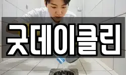 굿데이클린
