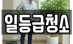 일등급청소